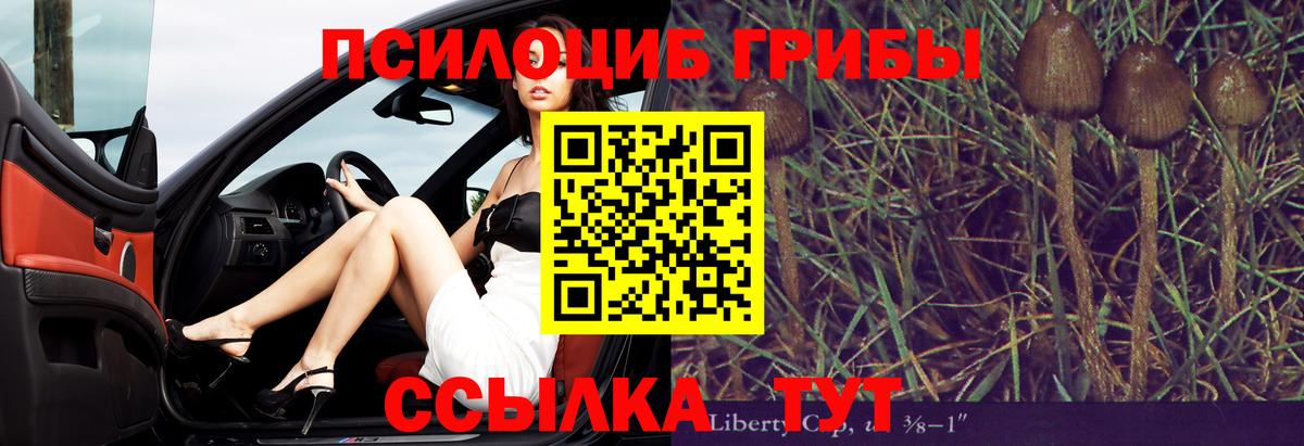 Галлюциногенные грибы мухоморы Курчатов